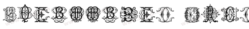 Intellecta Roman Tal字体转换